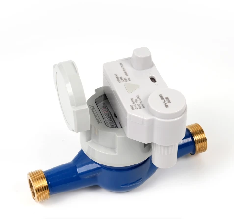info-1-1 LoRaWan Smart Water Meter